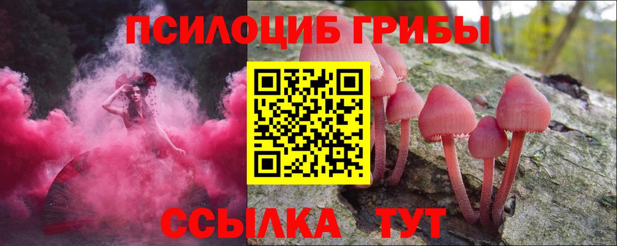 Галлюциногенные грибы Cubensis Нижнекамск